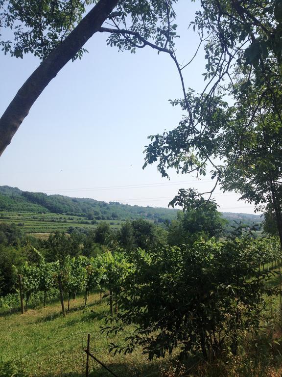 B&B Maccalle Oasi Franciacorta Provezze 外观 照片